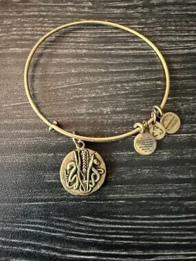 Alex and Ani Bracelet Rulers Of The Woods Reed Gold Bangle Charm Pure Clarity